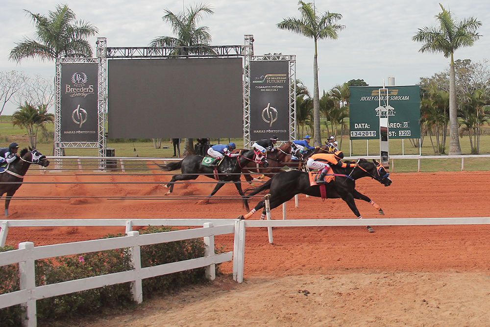 Sorocaba por Ju Marcone: Decathlon Sorocaba