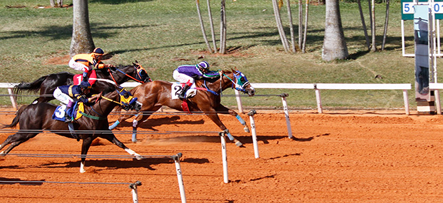 Interclubes Scratch de SP: Damha conquista bicampeonato e São Fernando  vence divisão de acesso – Parque Eco Esportivo Damha