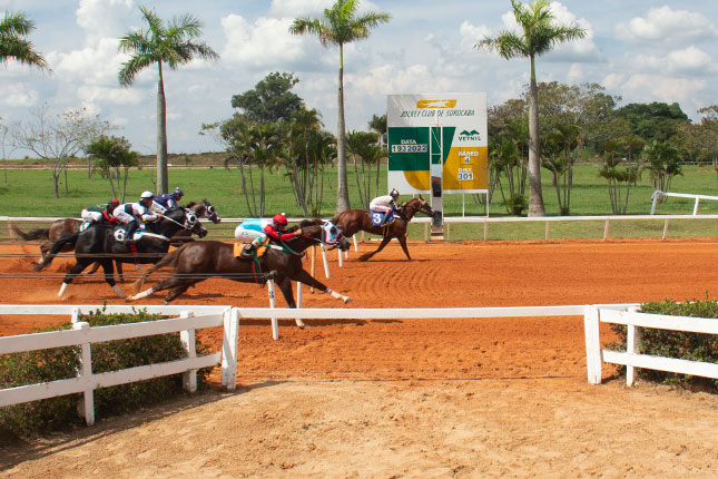 Interclubes Scratch de SP: Damha conquista bicampeonato e São Fernando  vence divisão de acesso – Parque Eco Esportivo Damha